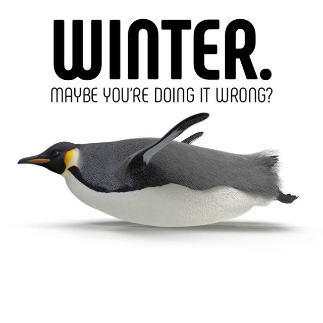 Spring Festival Gift